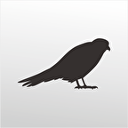 Folyo Sticker Arı Kuşu