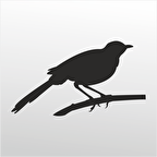 Folyo Sticker Arı Kuşu