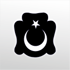 Folyo Sticker Ay Ve Yıldız