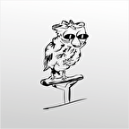 Folyo Sticker Baykuş