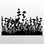 Folyo Sticker Çiçekler