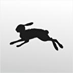 Folyo Sticker Çöl Tavşanı