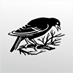 Folyo Sticker Daldaki Kuş