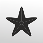 Folyo Sticker Deniz Yıldızı