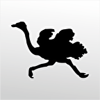 Folyo Sticker Deve Kuşu