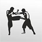 Folyo Sticker Dövüş