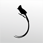 Folyo Sticker Hint Bülbülü