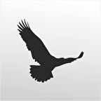 Folyo Sticker Kartal