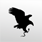 Folyo Sticker Kartal