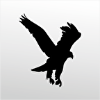 Folyo Sticker Kartal