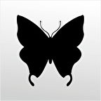 Folyo Sticker Kelebek