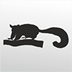 Folyo Sticker Kokarca