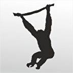 Folyo Sticker Maymun