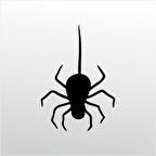 Folyo Sticker Örümcek