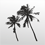 Folyo Sticker Palmiyeler