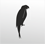 Folyo Sticker Papağan