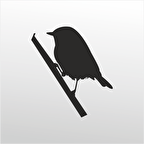 Folyo Sticker Serçe