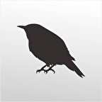 Folyo Sticker Serçe