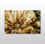 Gül Kurumuş  Kanvas Tablo