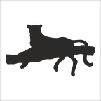 PANTER FOLYO STİCKER