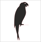 PAPAĞAN FOLYO STİCKER