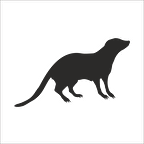 SANSAR FOLYO STİCKER