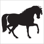 SİYAH AT  FOLYO STİCKER