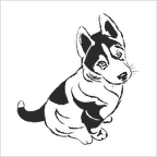 YAVRU KURT FOLYO STİCKER