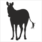 ZEBRA  FOLYO STİCKER