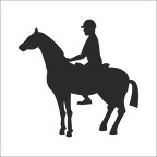 BİNİCİ FOLYO STİCKER