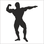 BODY GYM FOLYO STİCKER