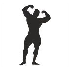 BODY GYM FOLYO STİCKER