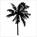 AĞAÇ VE GÜL RESİMLERİ