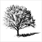 AĞAÇ VE GÜL RESİMLERİ