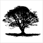 AĞAÇ VE GÜL RESİMLERİ