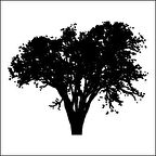 AĞAÇ VE GÜL RESİMLERİ FOLYO STİCKER