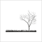 AĞAÇ VE GÜL RESİMLERİ