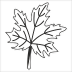 AĞAÇ VE GÜL RESİMLERİ
