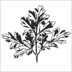 AĞAÇ VE GÜL RESİMLERİ