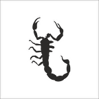 AKREP  FOLYO STİCKER