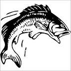 BALIK FOLYO STİCKER