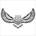 BAYKUŞ FOLYO STİCKER