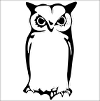 BAYKUŞ FOLYO STİCKER