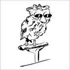 BAYKUŞ FOLYO STİCKER