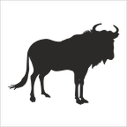 BUFALO FOLYO STİCKER