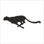 ÇİTA FOLYO STİCKER