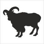 DAĞ KEÇİSİ  FOLYO STİCKER