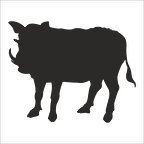 DOMUZ FOLYO STİCKER