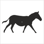 EŞEK FOLYO STİCKER