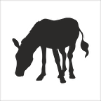 EŞEK  FOLYO STİCKER